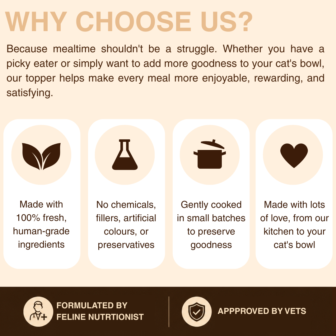 GOODNESS LOADED MEAL TOPPER FOR CATS - Chicken Liver and Fish | 100 g