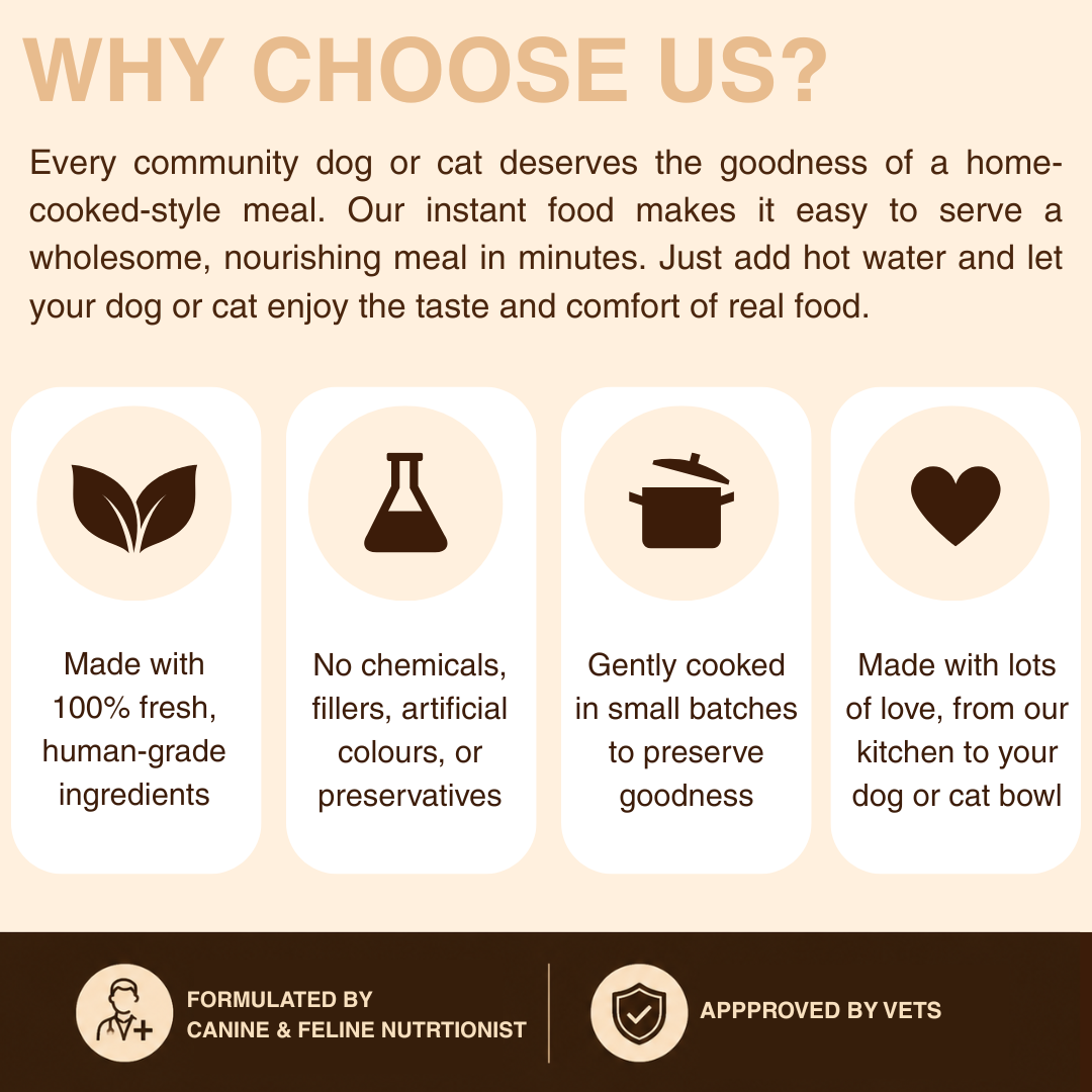 WHOLESOME GOODNESS MEALS FOR COMMUNITY DOGS/CATS - Egg and Paneer