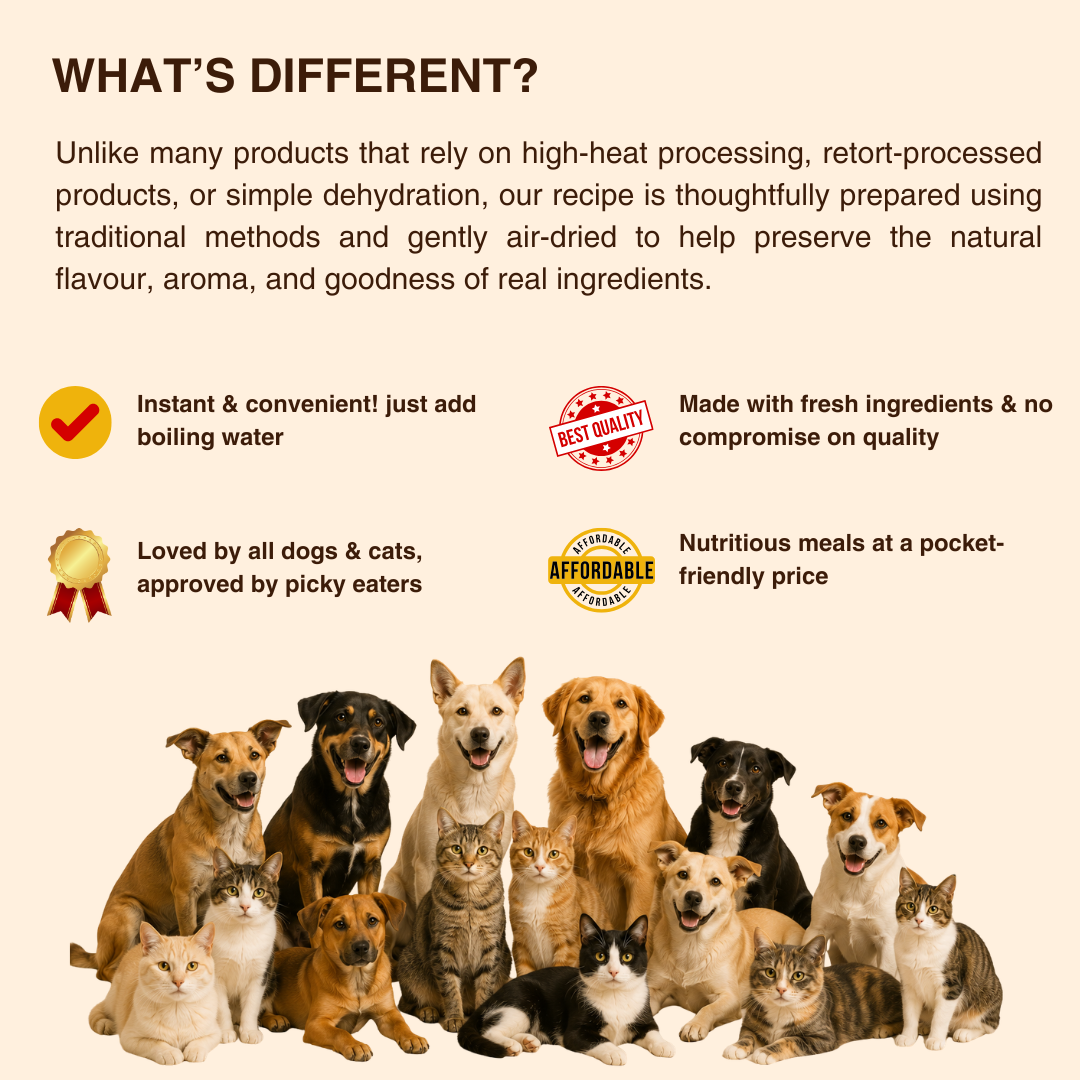 WHOLESOME GOODNESS MEALS FOR COMMUNITY DOGS/CATS - Egg and Paneer
