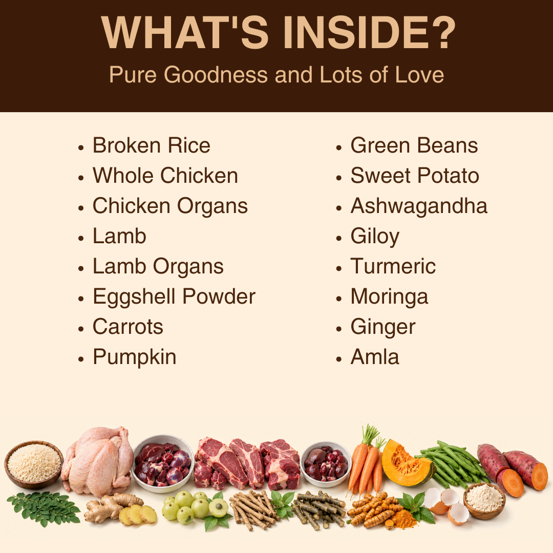 WHOLESOME GOODNESS MEALS FOR COMMUNITY DOGS - Chicken and Lamb