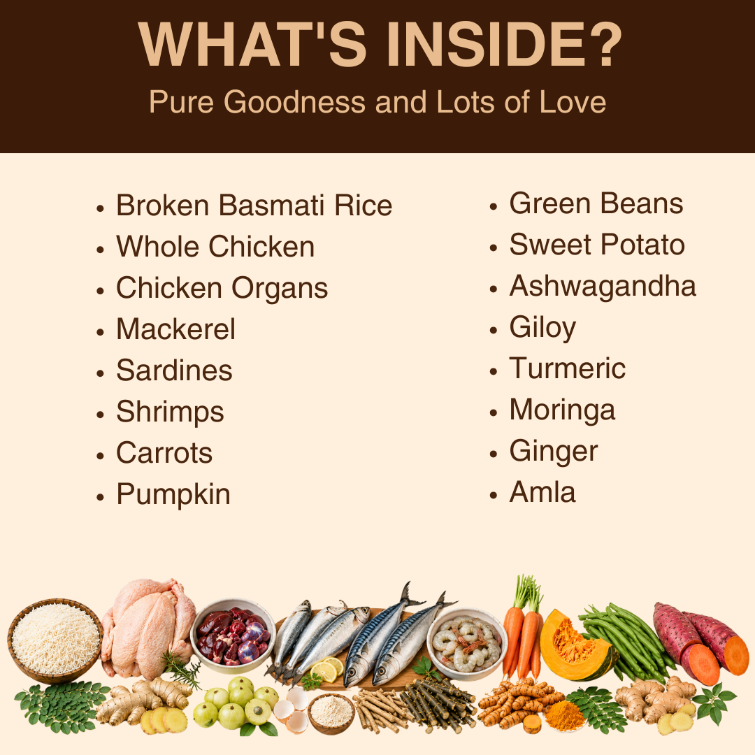 WHOLESOME GOODNESS MEALS FOR CATS - Chicken and Fish