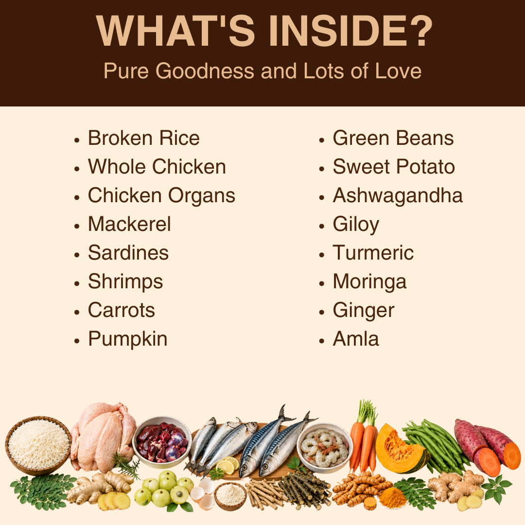WHOLESOME GOODNESS MEALS FOR COMMUNITY CATS - Chicken and Fish