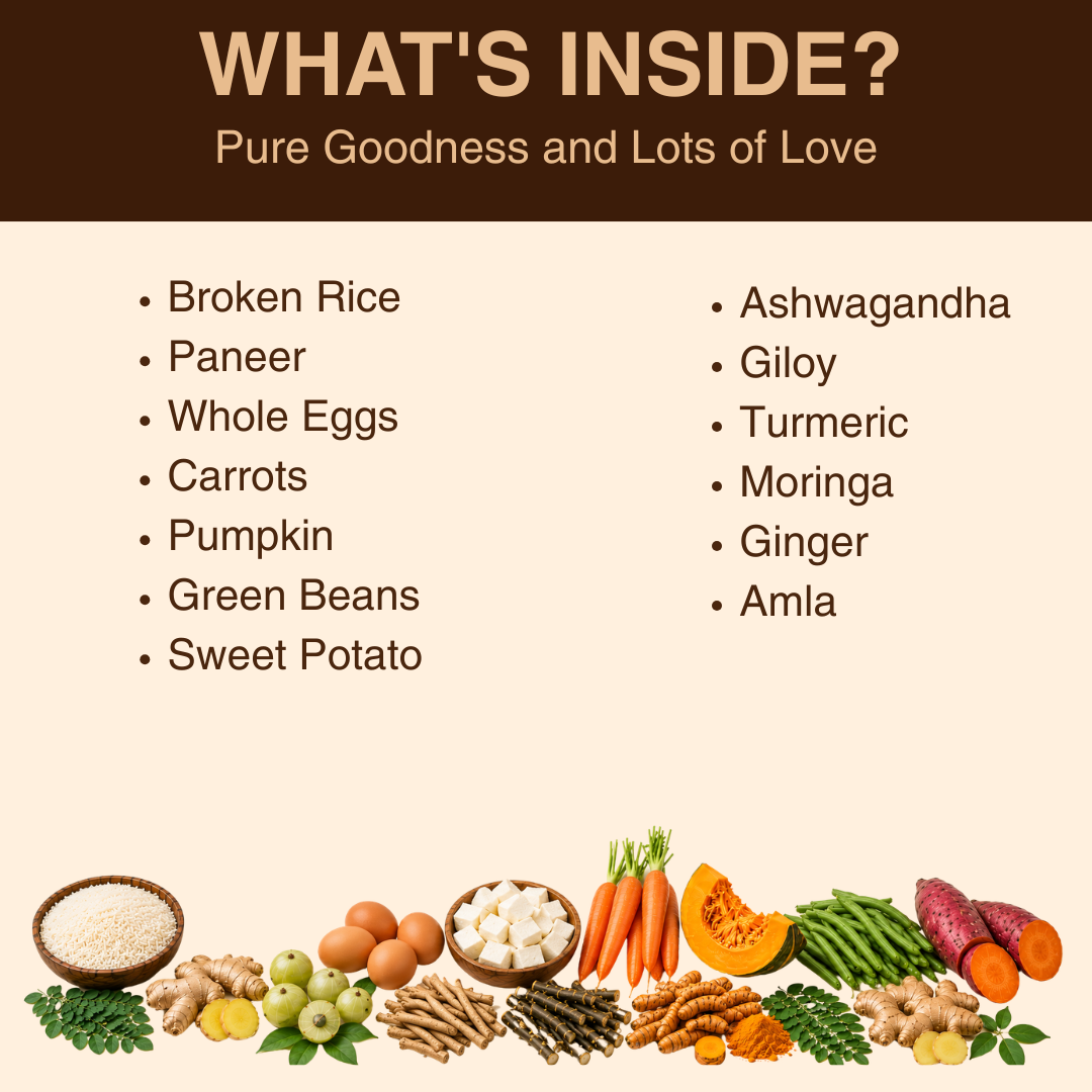 WHOLESOME GOODNESS MEALS FOR COMMUNITY DOGS/CATS - Egg and Paneer