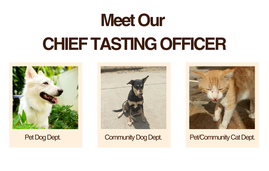 A promotional graphic with the headline 'Meet Our CHIEF TASTING OFFICER' above three small photos: a white dog, a black-and-tan dog, and an orange-and-white cat, each labeled with a department name on a beige card against a white background.